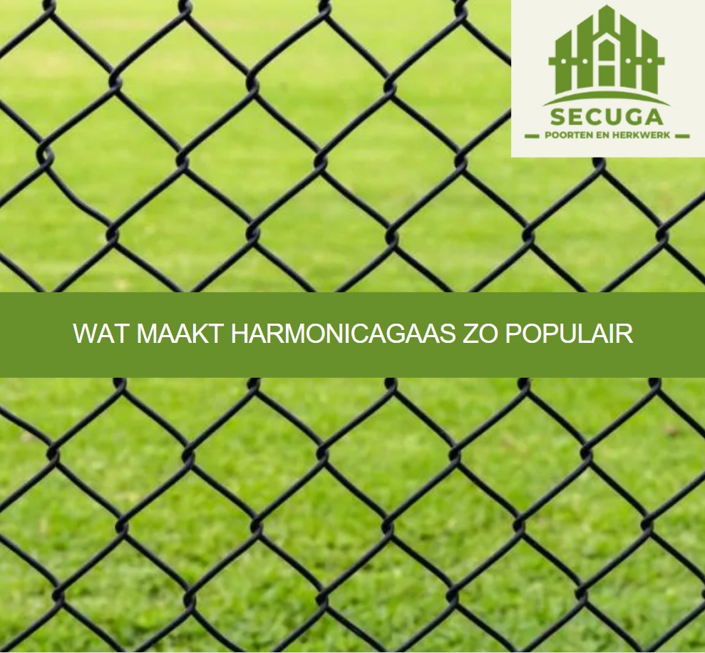 Wat maakt harmonicagaas zo populair