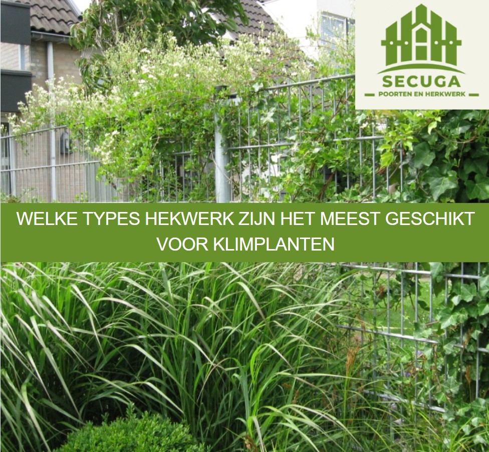Welke types hekwerk zijn het meest geschikt voor klimplanten